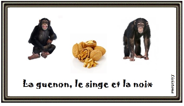 La Guenon Le Singe Et La Noix Dessin | AUTOMASITES